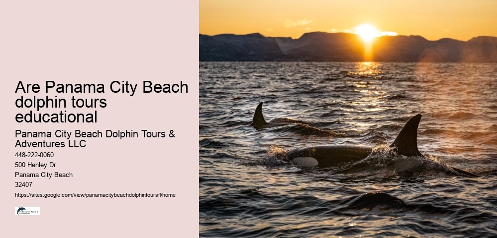 Are Panama City Beach dolphin tours educational