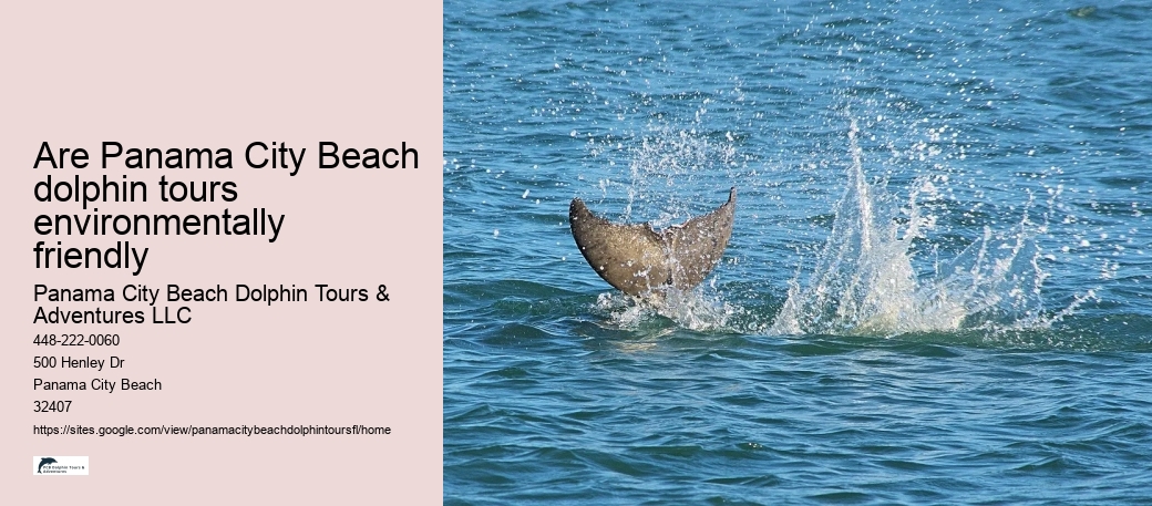 Are Panama City Beach dolphin tours environmentally friendly