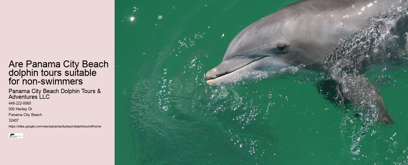 Panama City Beach Dolphin Tours & More Tours