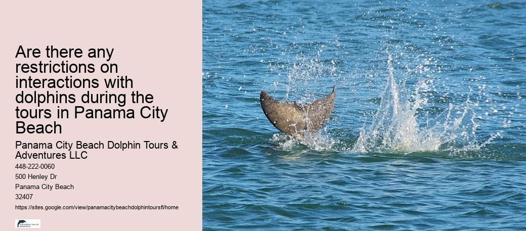 Are there any restrictions on interactions with dolphins during the tours in Panama City Beach