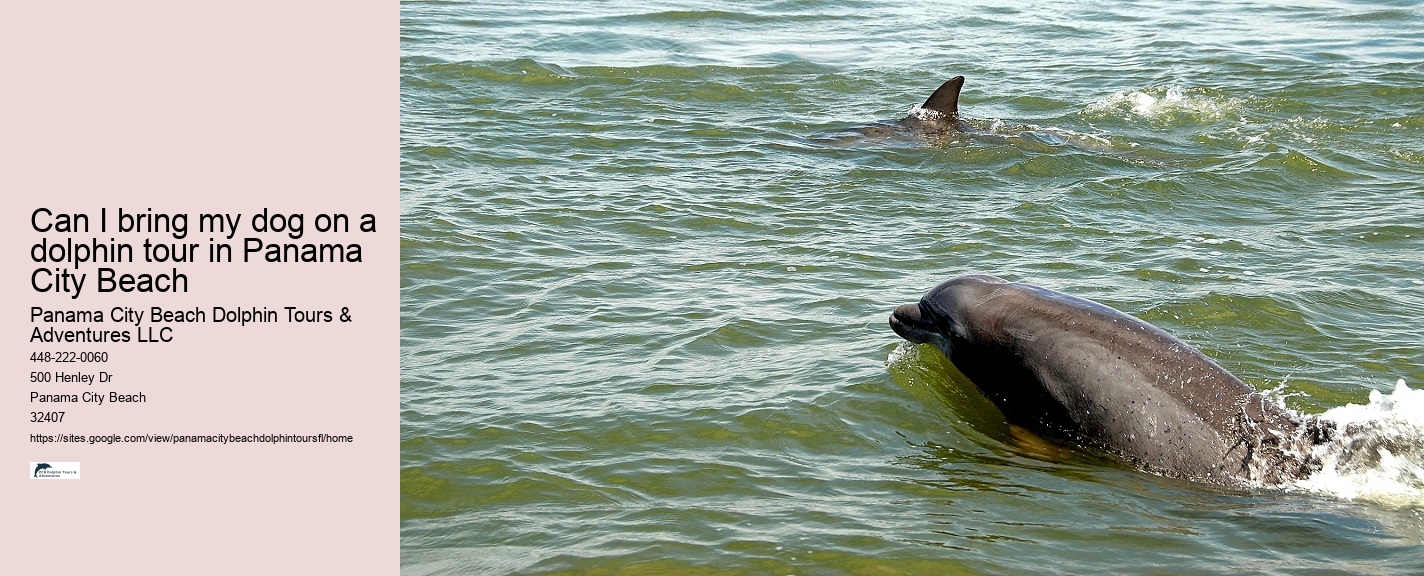 Bottlenose dolphins