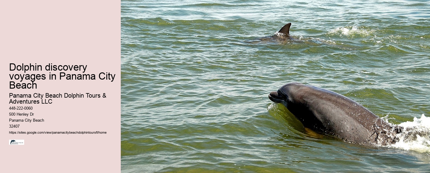 Boat Tours