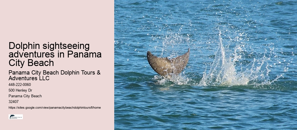 Dolphin sightseeing adventures in Panama City Beach