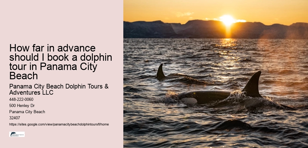 How far in advance should I book a dolphin tour in Panama City Beach