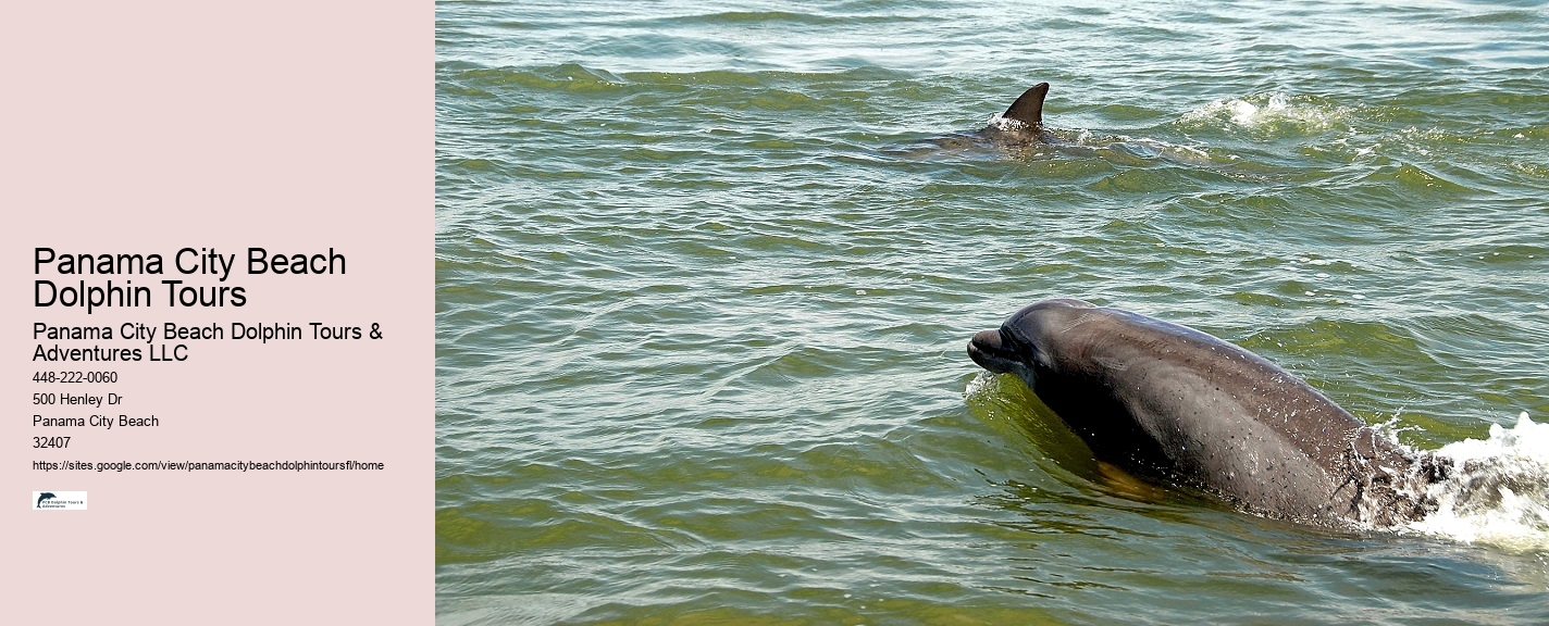 Are there any age restrictions for dolphin tours in Panama City Beach