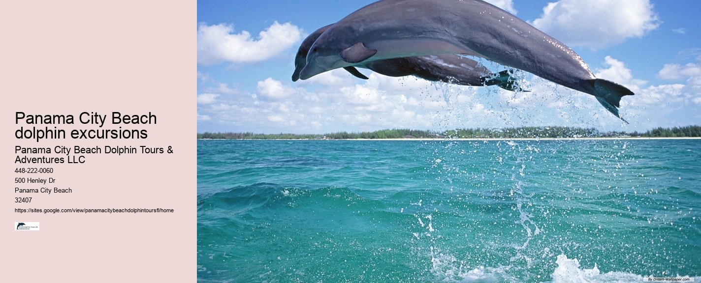 Panama City Beach Florida Dolphin Swim