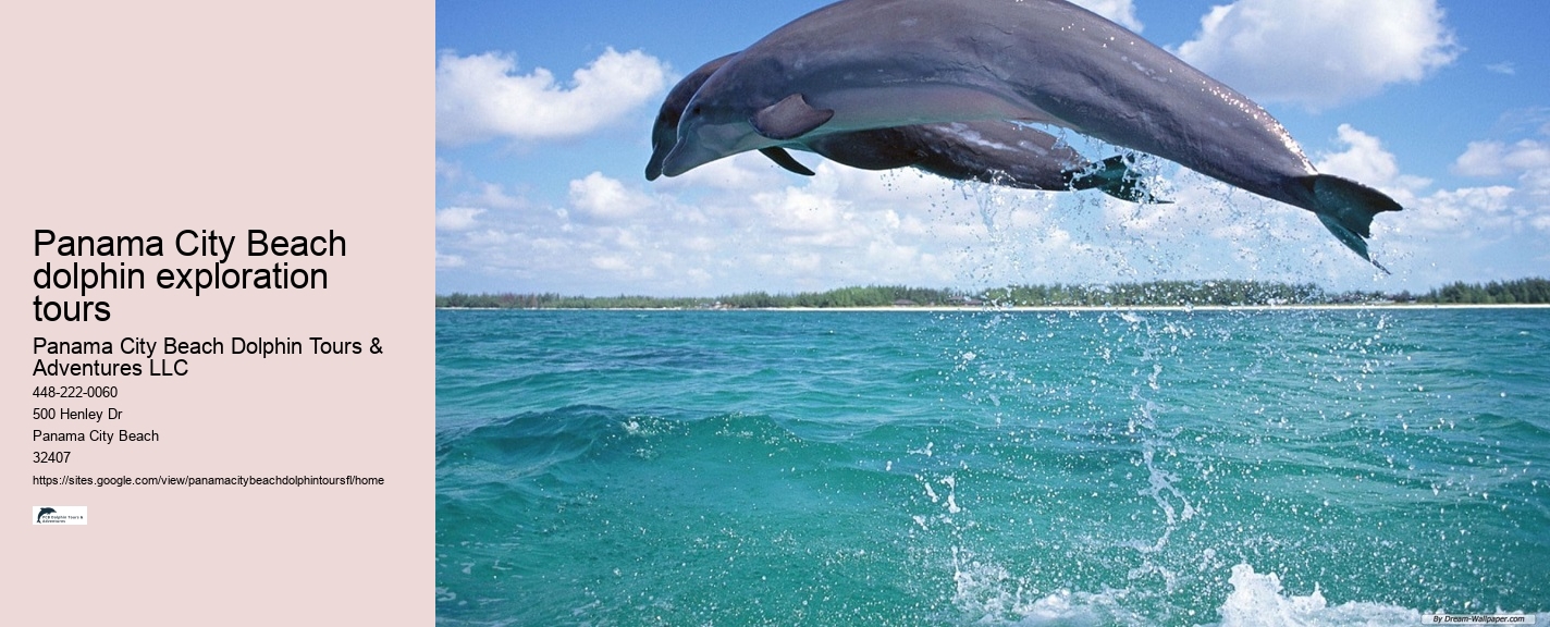 Blue Dolphin Tours Panama City Beach Fl