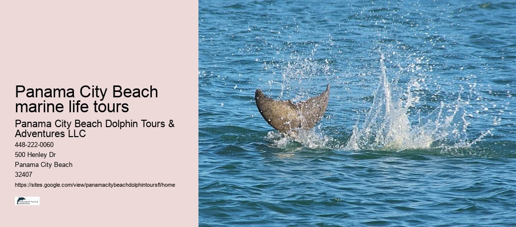 Panama City Beach marine life tours